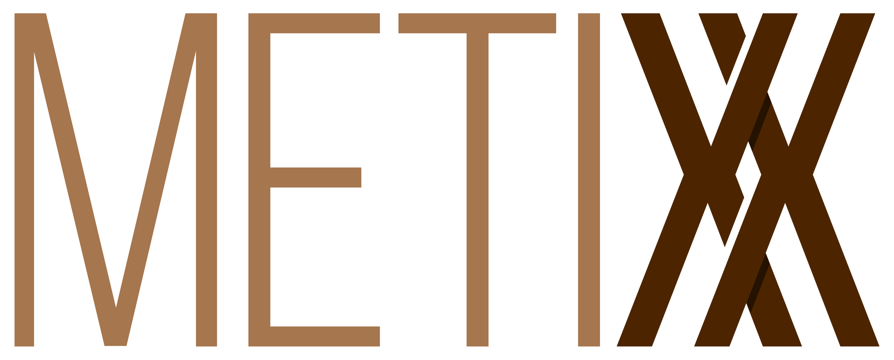 logo of Metixx