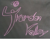 logo of Volley Féminin Yverdon